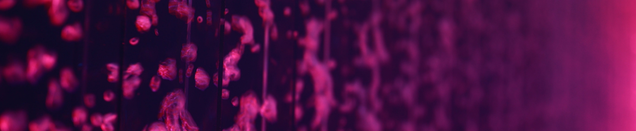 Black wall with a light pink pattern