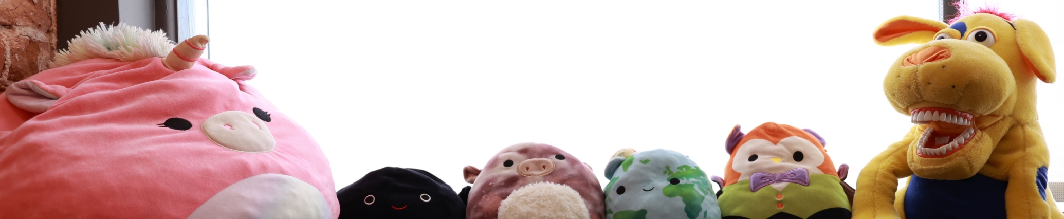 Row fos tuffed animals in a pediatric dental office in Denver