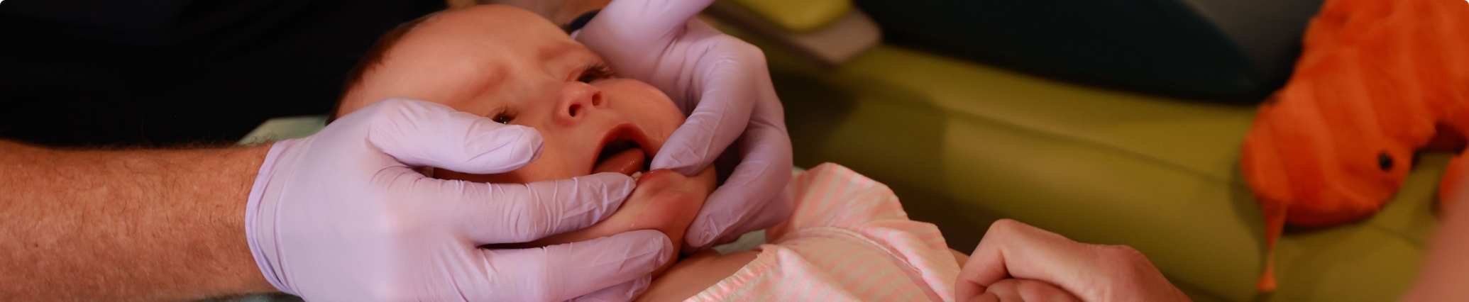 Dentist for infants examining a baby's gums